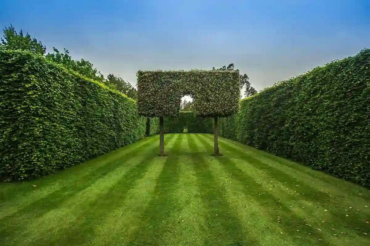 Gartenpflege Beispiel